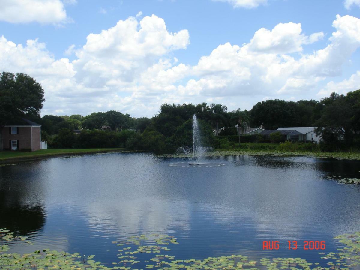 Beautiful Condo Close To Busch Gardens Tampa Kültér fotó